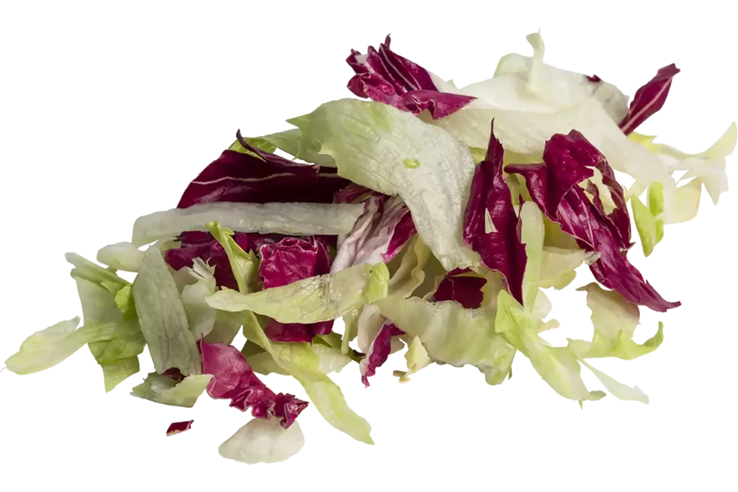 IJssla rode sla mix zak 500gr stuk 1